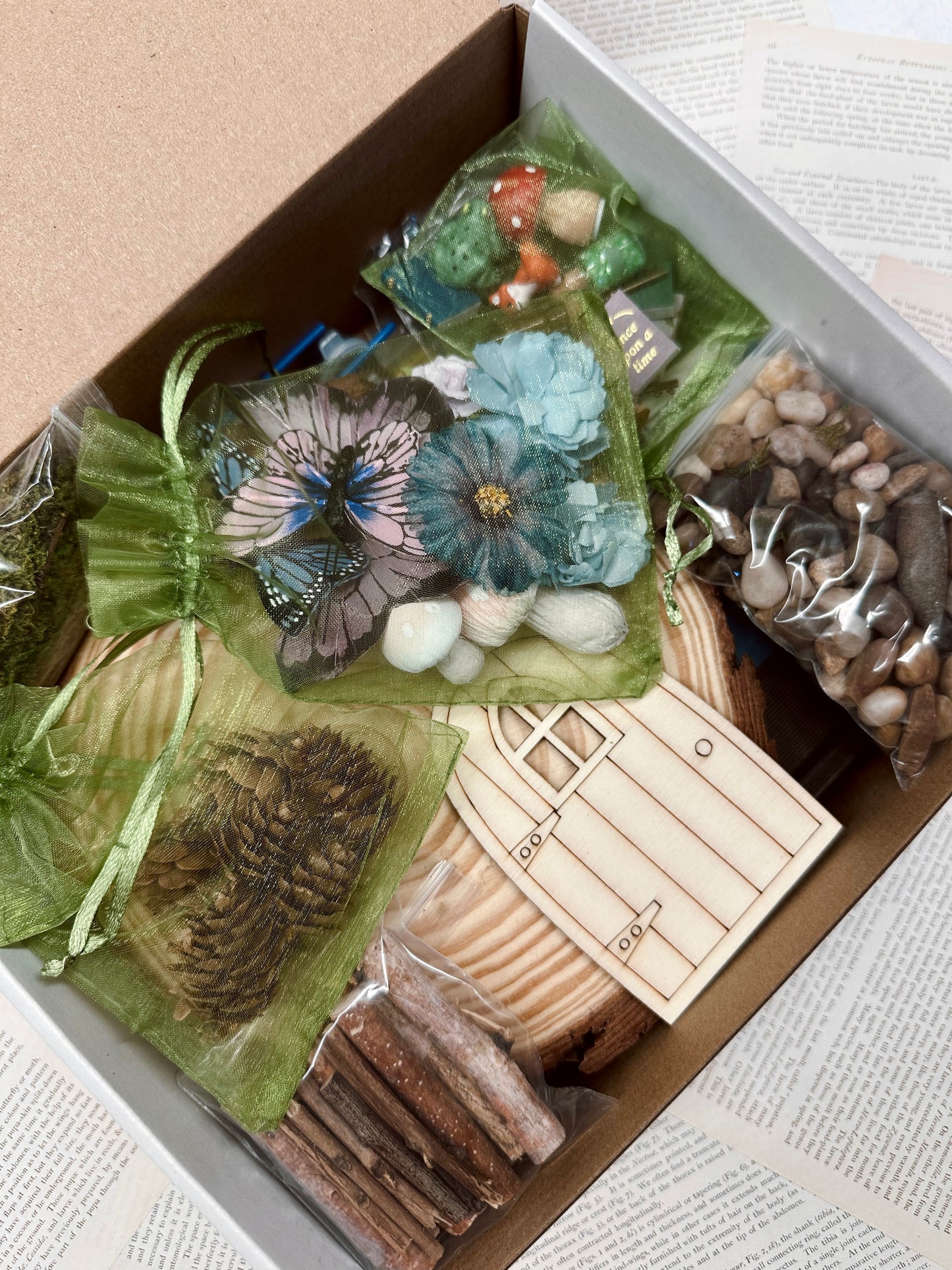 Fairy Garden Kit