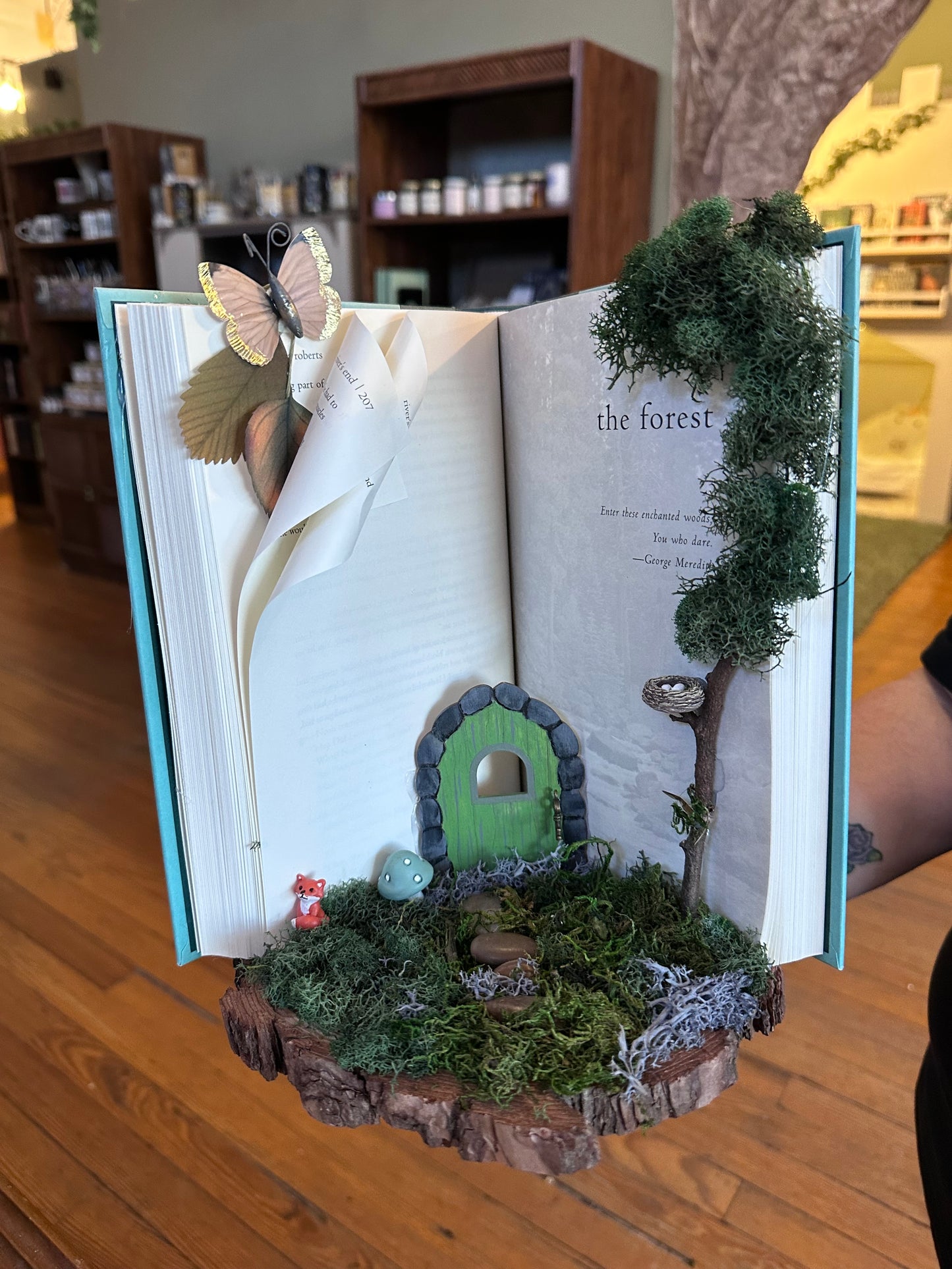 Fairy Garden Kit