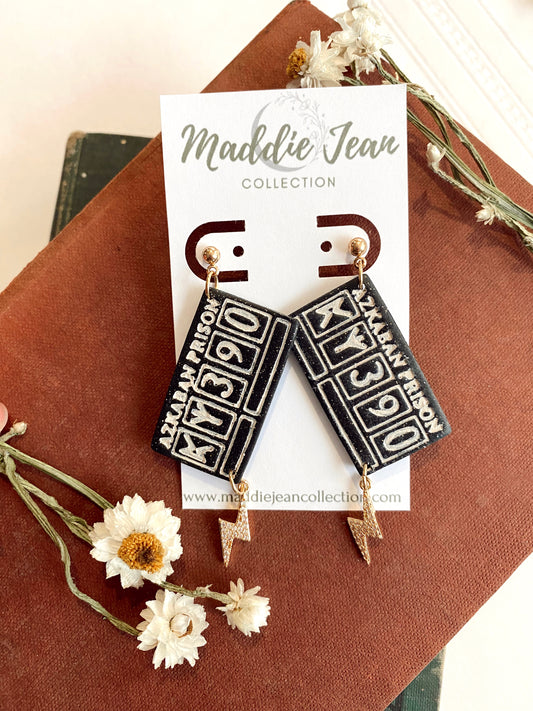 Prisoner Intake Earrings